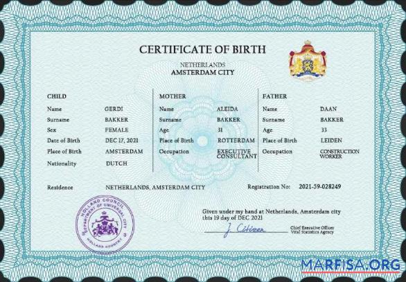 Realistic Netherlands vital record birth certificate PSD template